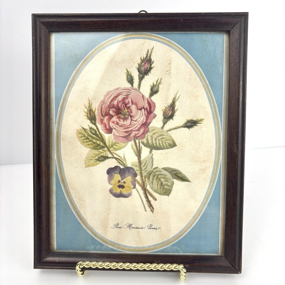 Vintage Framed Botanical Print Rose Mousseuse Pensee Moss Rose Pansy 7"x8" Blue
